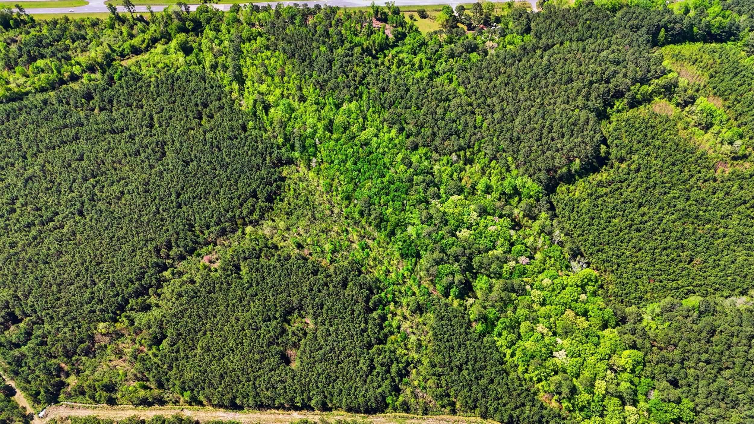 9 Highway 9 Loris, SC 29569 - Photo 11 of 11