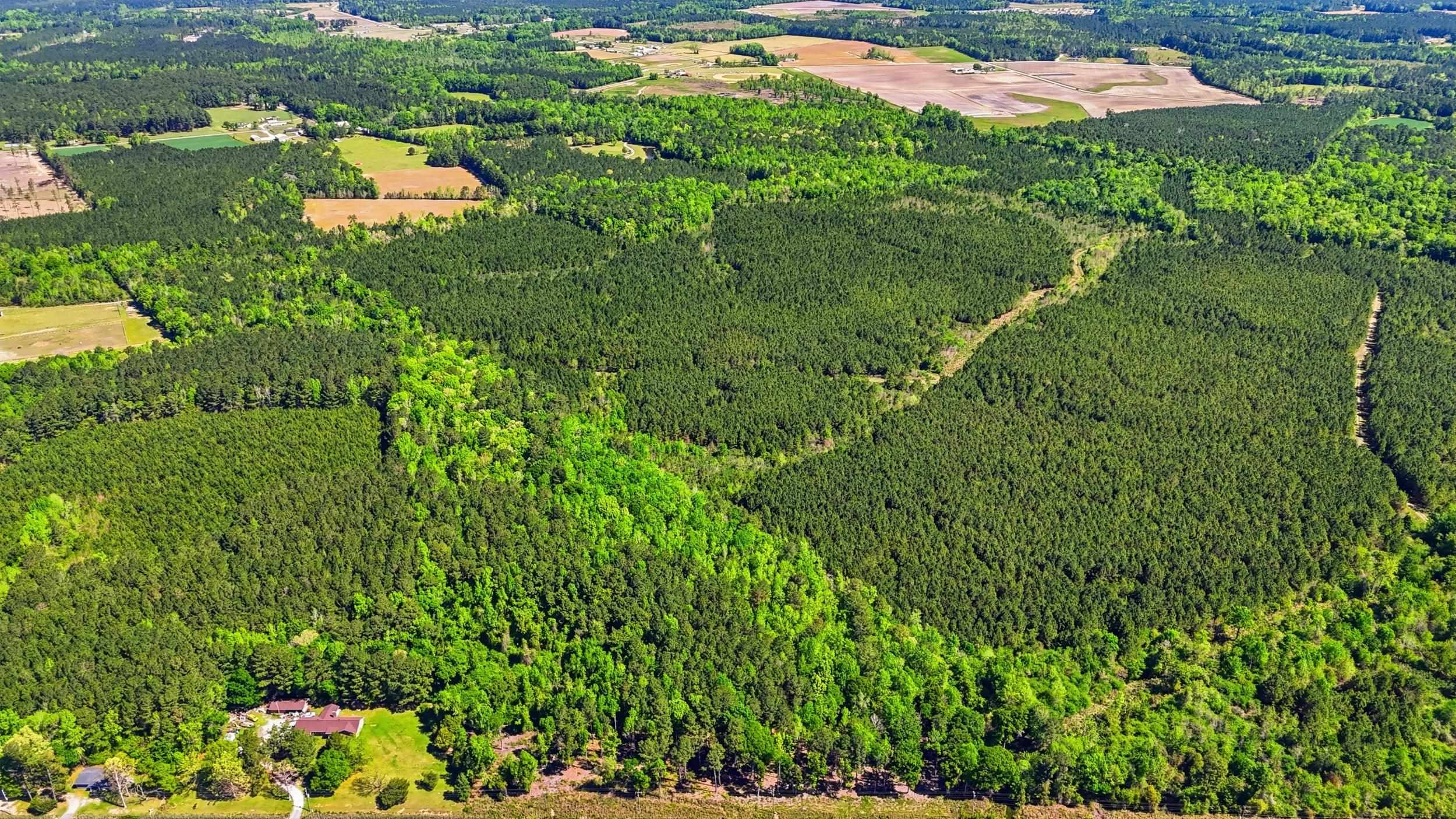 9 Highway 9 Loris, SC 29569 - Photo 2 of 11