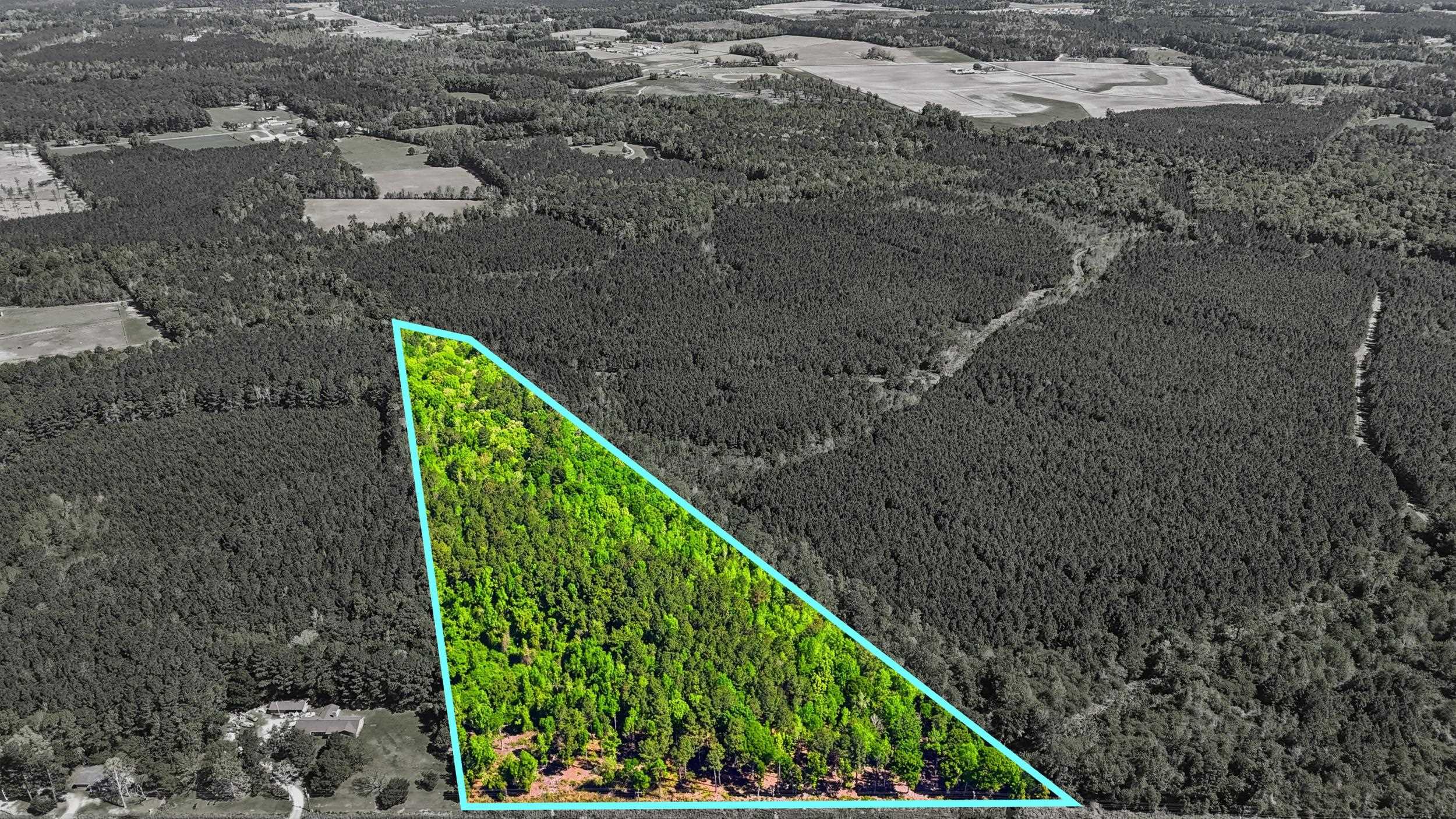 9 Highway 9 Loris, SC 29569 - Photo 3 of 11