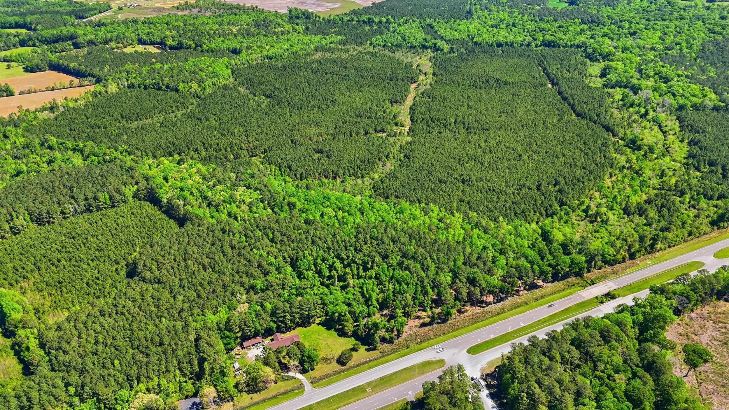 9 Highway 9 Loris, SC 29569 - Photo 7 of 11