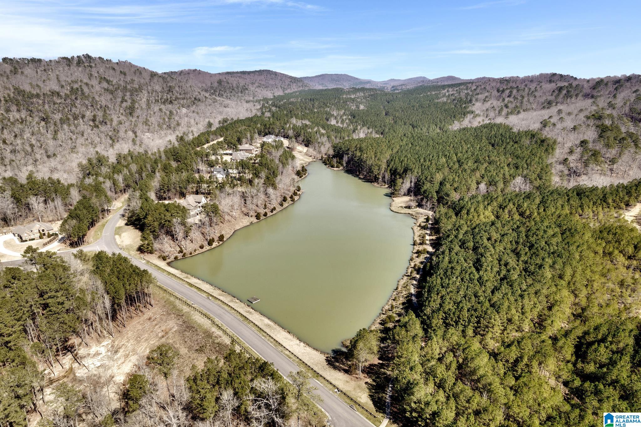 77 Broadmoor Loop Oneonta, AL 35121 - Photo 47 of 50