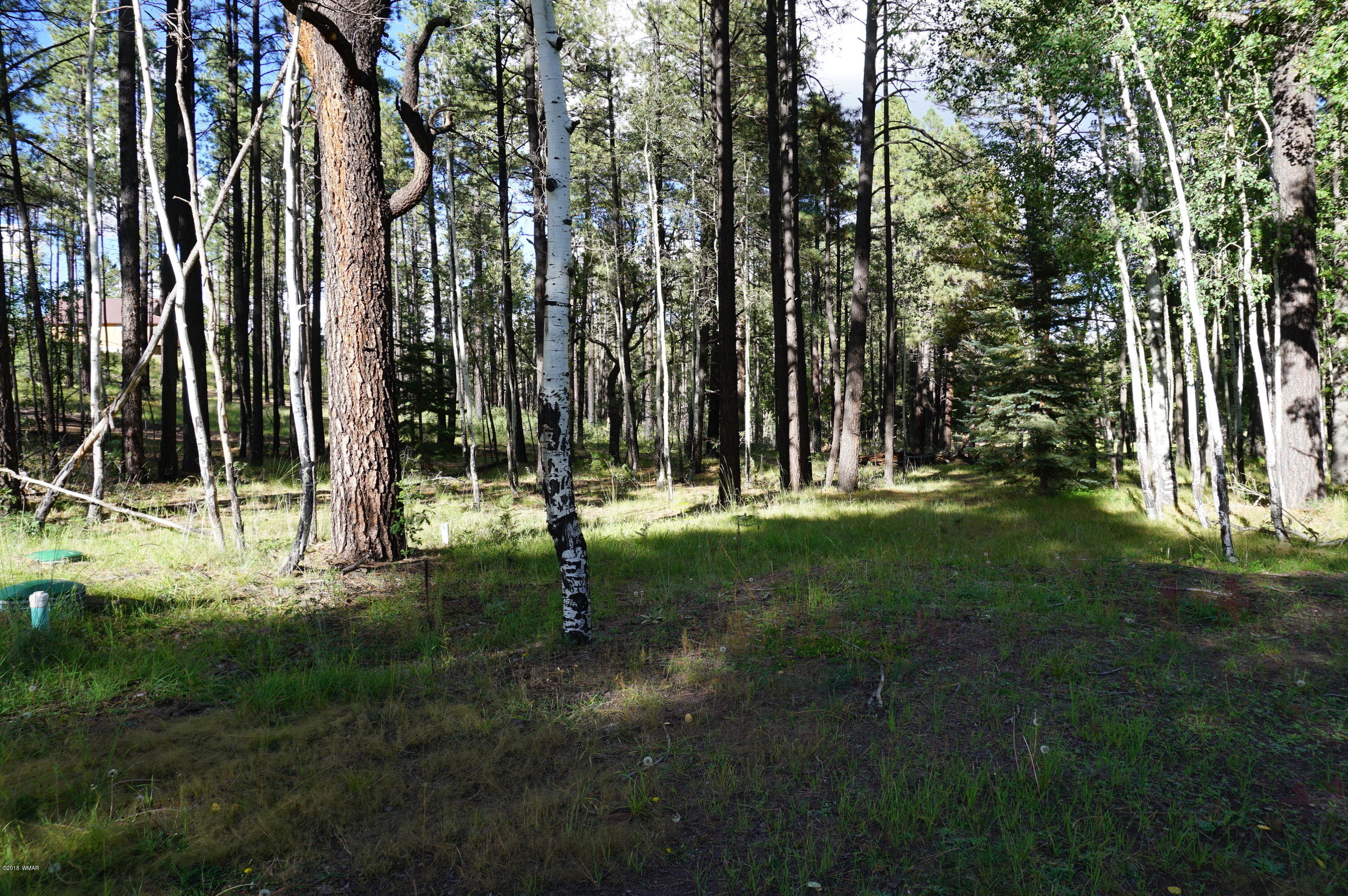 64 Co Road Alpine, AZ 85920 - Photo 22 of 42