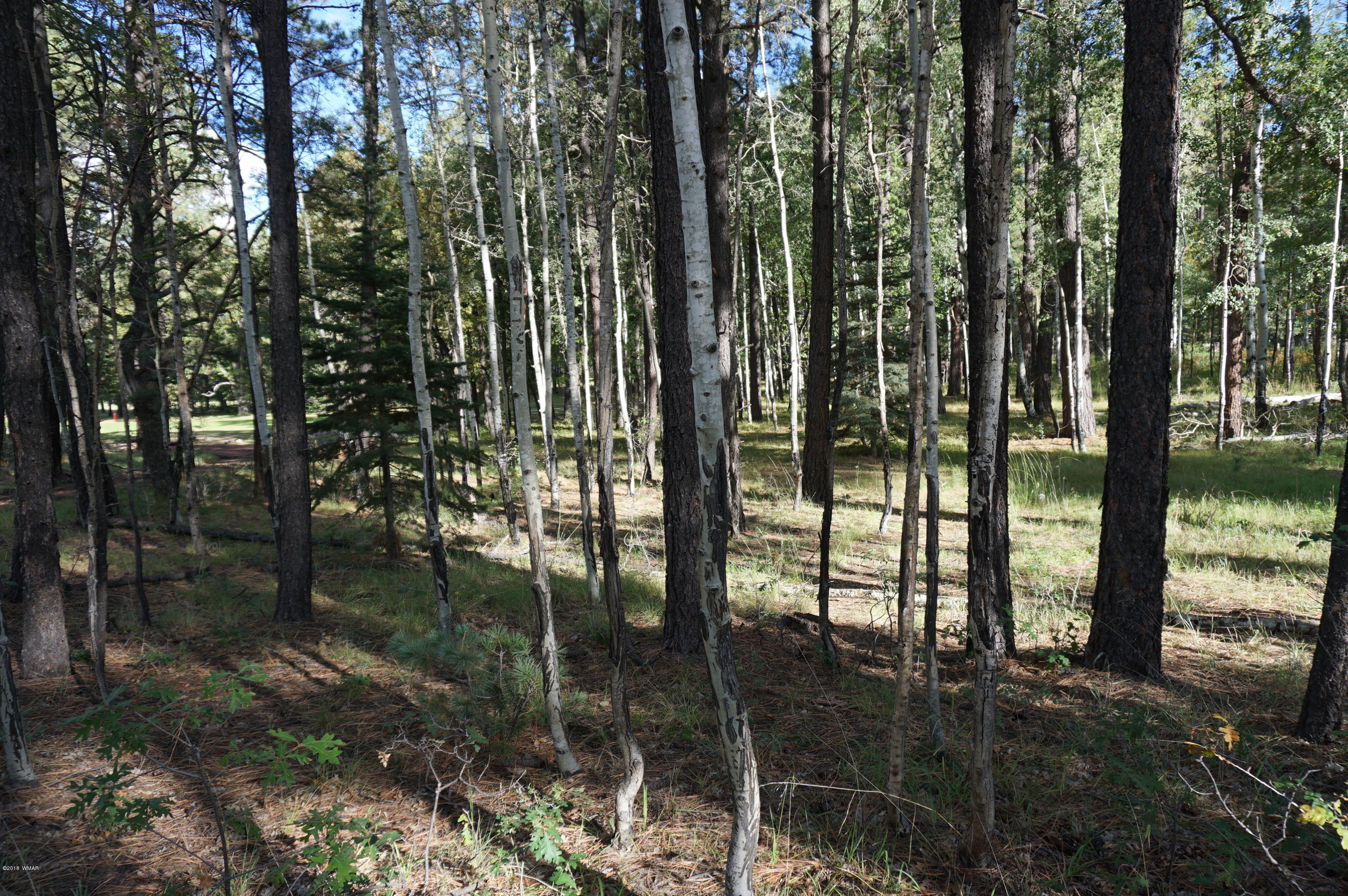 64 Co Road Alpine, AZ 85920 - Photo 23 of 42