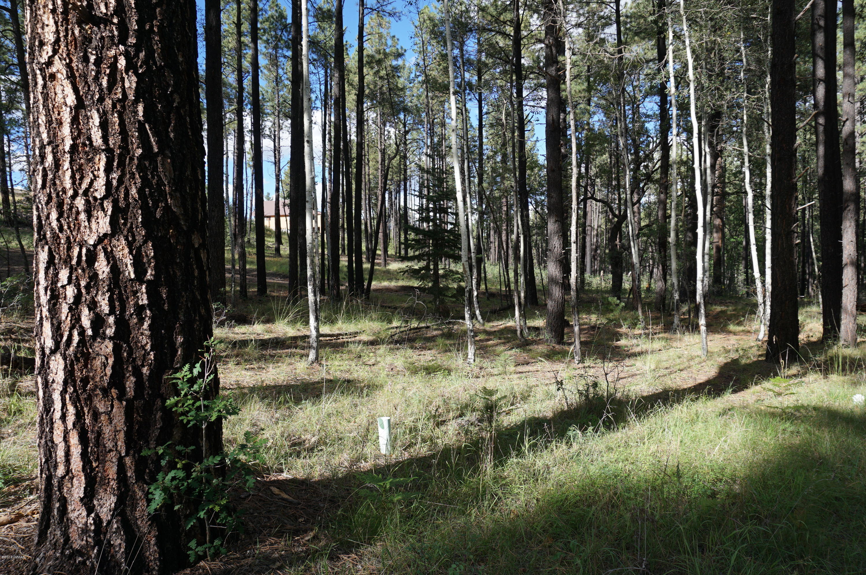 64 Co Road Alpine, AZ 85920 - Photo 25 of 42