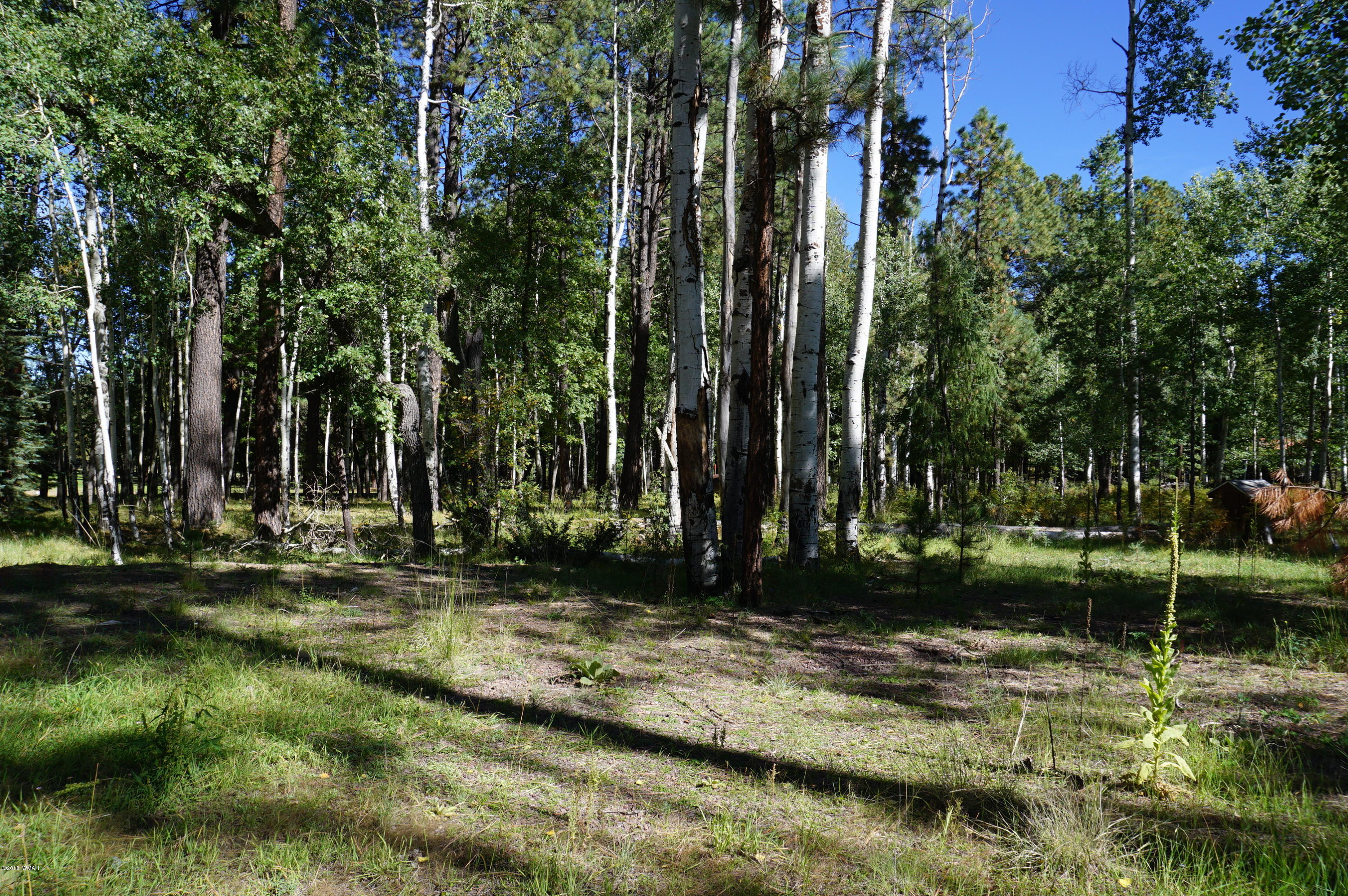64 Co Road Alpine, AZ 85920 - Photo 41 of 42