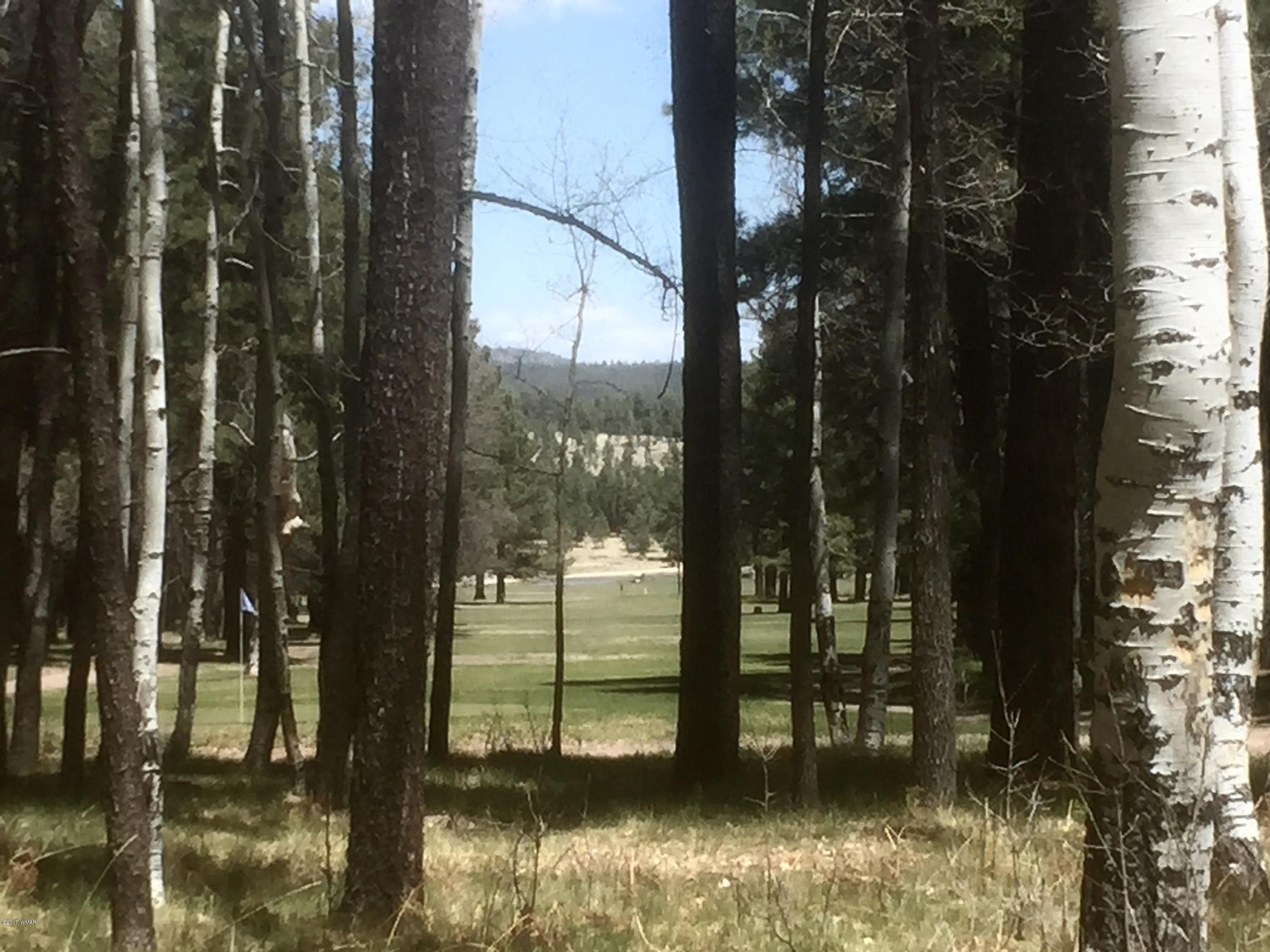 64 Co Road Alpine, AZ 85920 - Photo 8 of 42