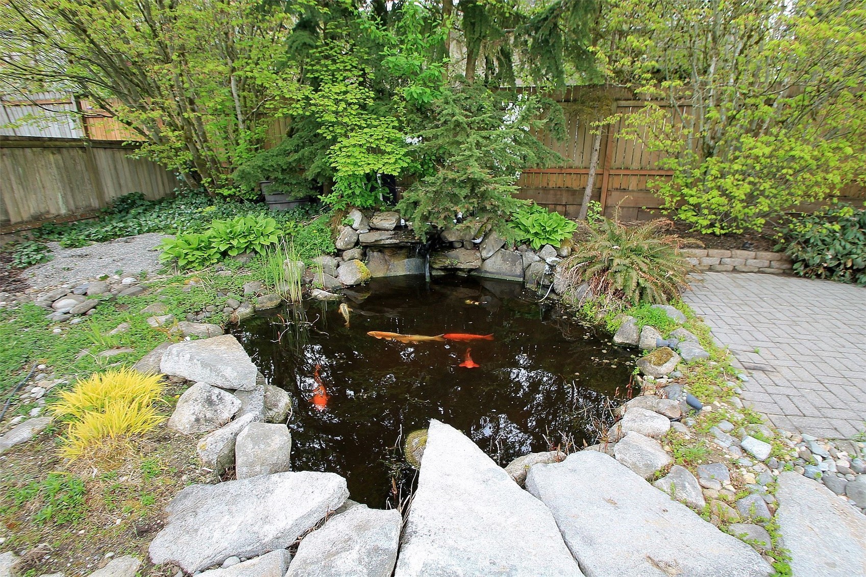 19504 Winesap Lane Bothell, WA 98012 - Photo 7 of 23 a view of a back yard of the house