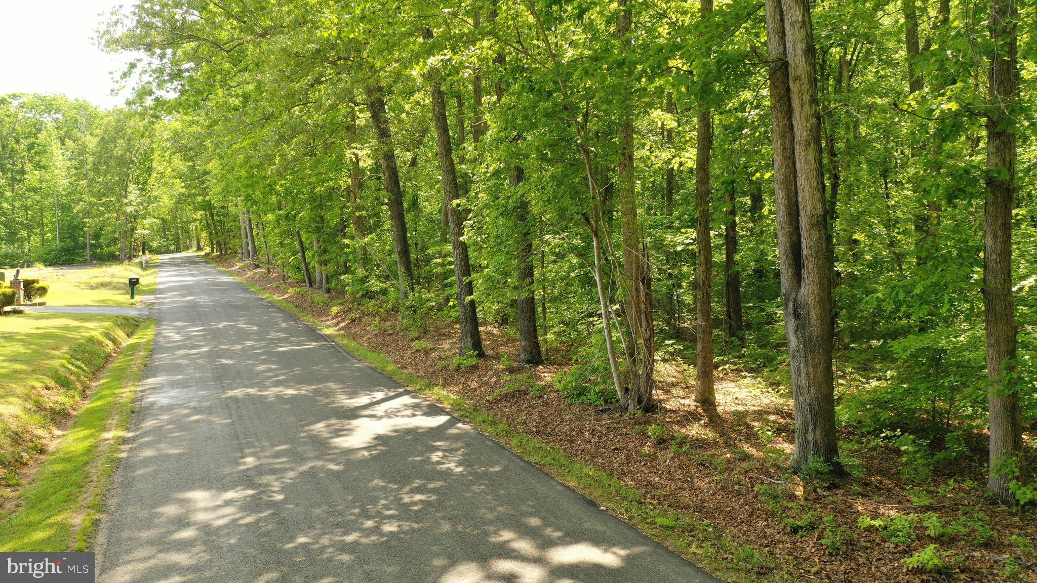 Tbd Roundabout Road Louisa, VA 23093 - Photo 5 of 28
