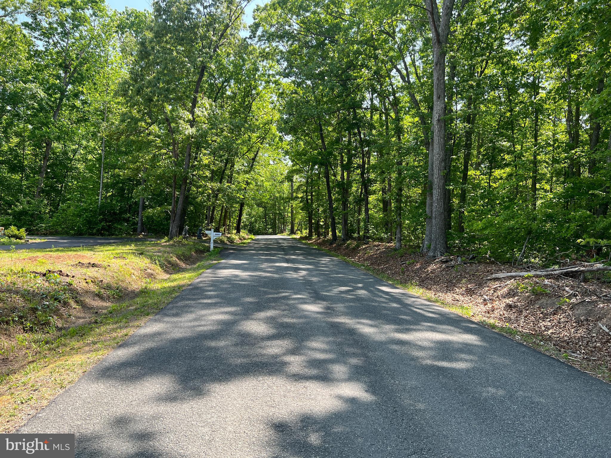 Tbd Roundabout Road Louisa, VA 23093 - Photo 8 of 28