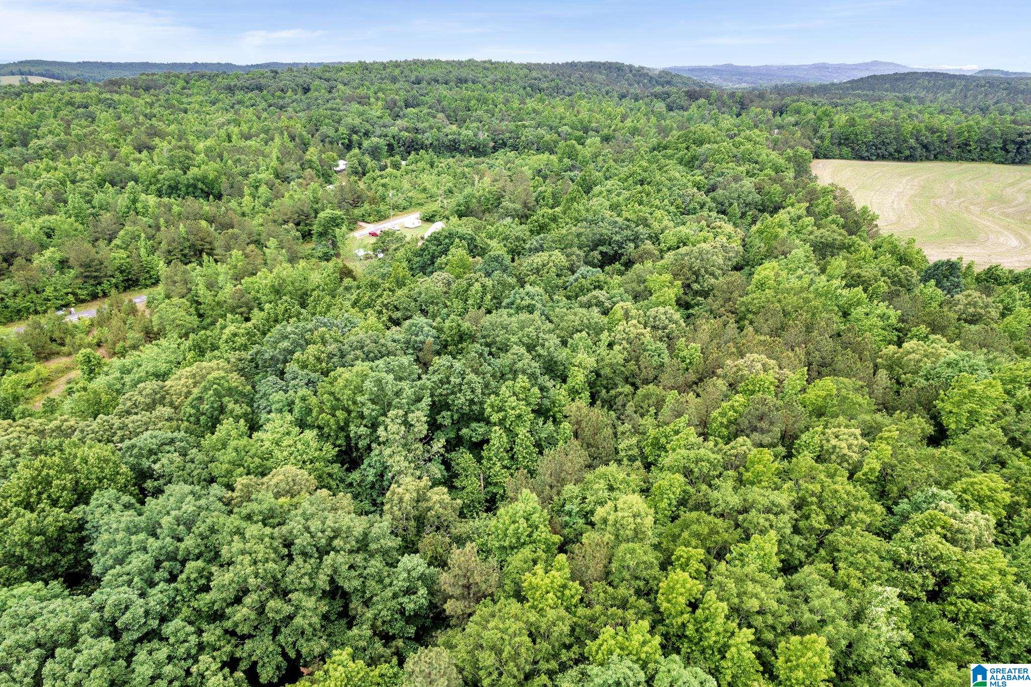 530 Mt Road Blountsville, AL 35031 - Photo 14 of 18