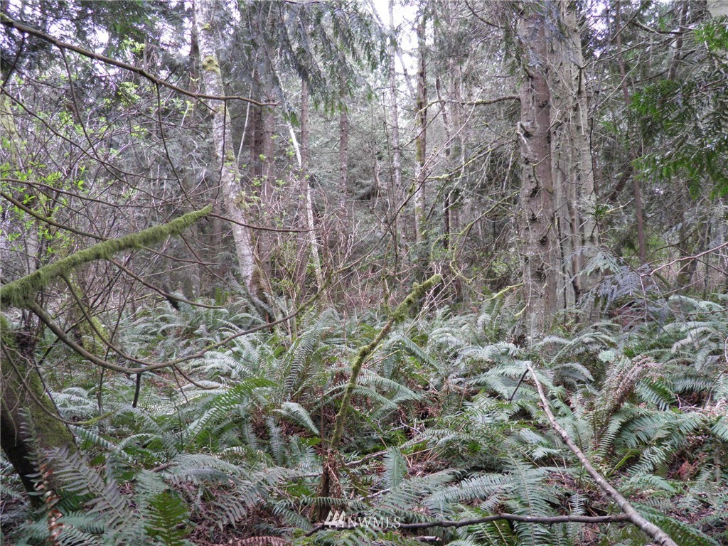 0 Pond Road Port Townsend, WA 98368 - Photo 1 of 3 Gallery Image 1