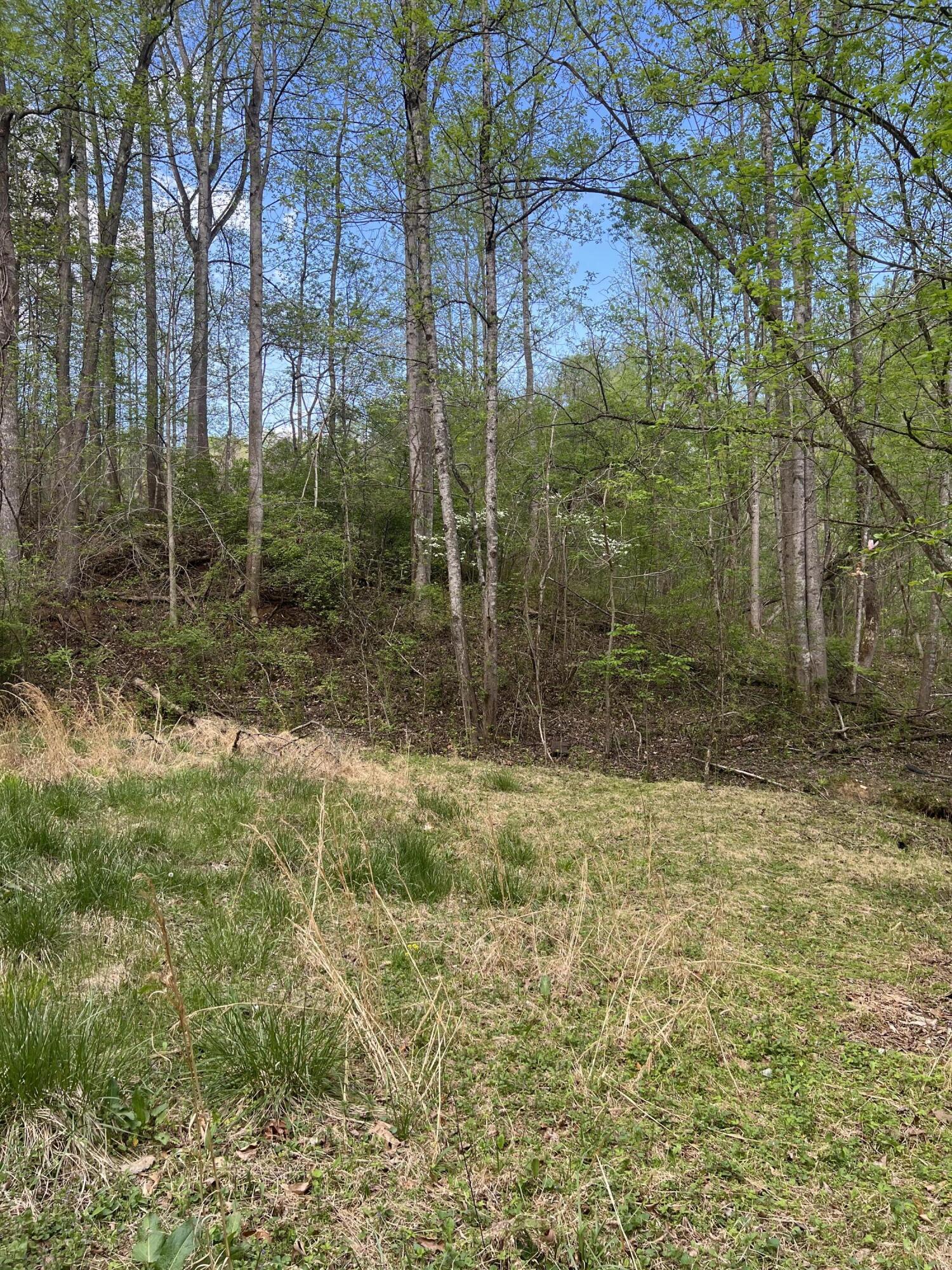 332 Terrace Road Boones Mill, VA 24065 - Photo 1 of 4 a view of backyard with green space