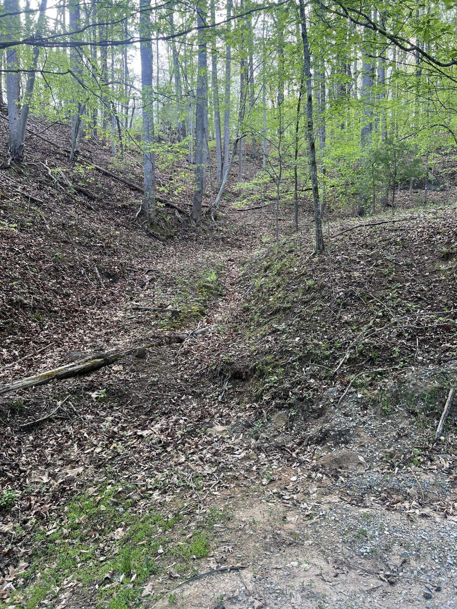 332 Terrace Road Boones Mill, VA 24065 - Photo 2 of 4 a view of outdoor space and green space