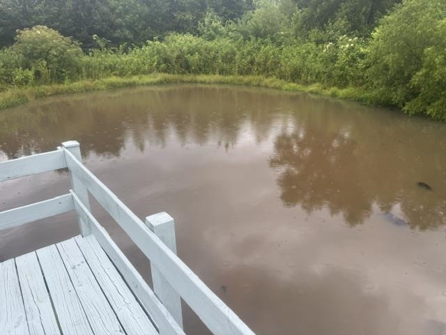 1100 Pine Top Road Toone, TN 38381 - Photo 34 of 40 Dockside water feature with painted wood decking, matching railing, and surrounding natural foliage