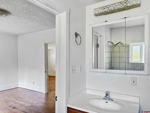 a bathroom with a sink a mirror and a shower