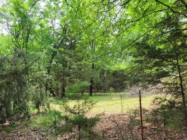 $65,000 | 3145 Clarksville Tx 75426, Clarksville, TX 75426