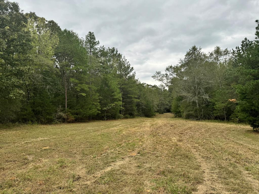 0 Ben Chapman Road Brandon, MS 39042 - Photo 1 of 28 Main View