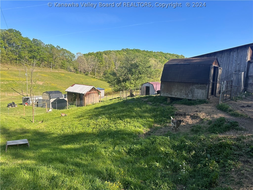 1501 Vicars Ridge Road Gandeeville, WV 25243 - Photo 4 of 22 Gallery Image 4
