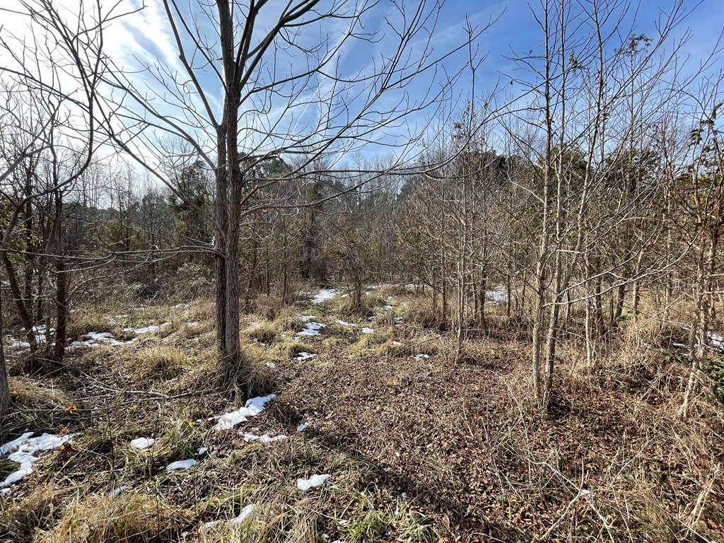 3.65 Old Neck Road, Unit 1 Weems, VA 22576 - Photo 32 of 35