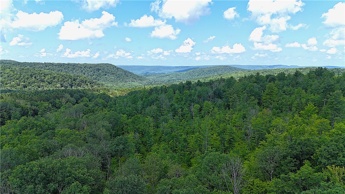 1667 Coon Hollow Road Orange, NY 14812 - Photo 26 of 41 Looking for privacy?