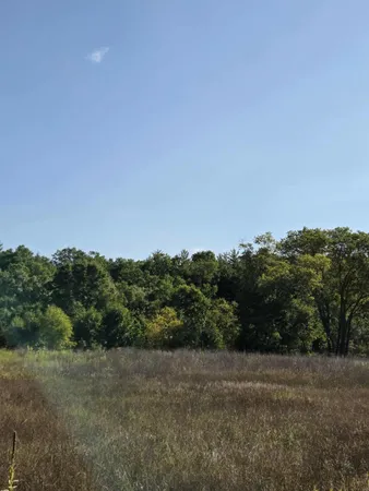 $22,000 | 0 Runyon Lane, Hale, MI 48739