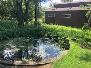 $1,495,000 | 14935 West Old School Road, Mettawa, IL 60048