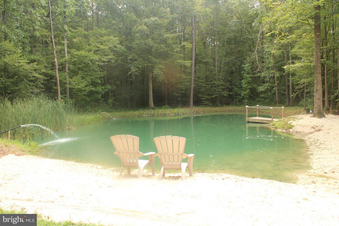 9301 Libertytown Road Berlin, MD 21811 - Photo 56 of 59 Pond with sandy beach