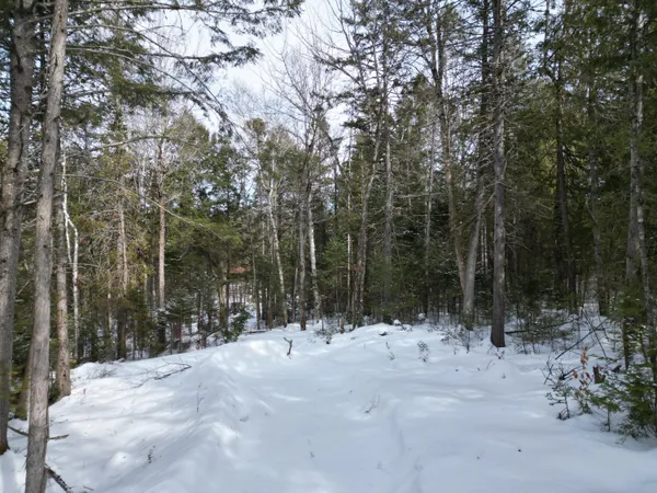 $29,000 | 12 Falcon Ridge, Lincoln, ME 04457