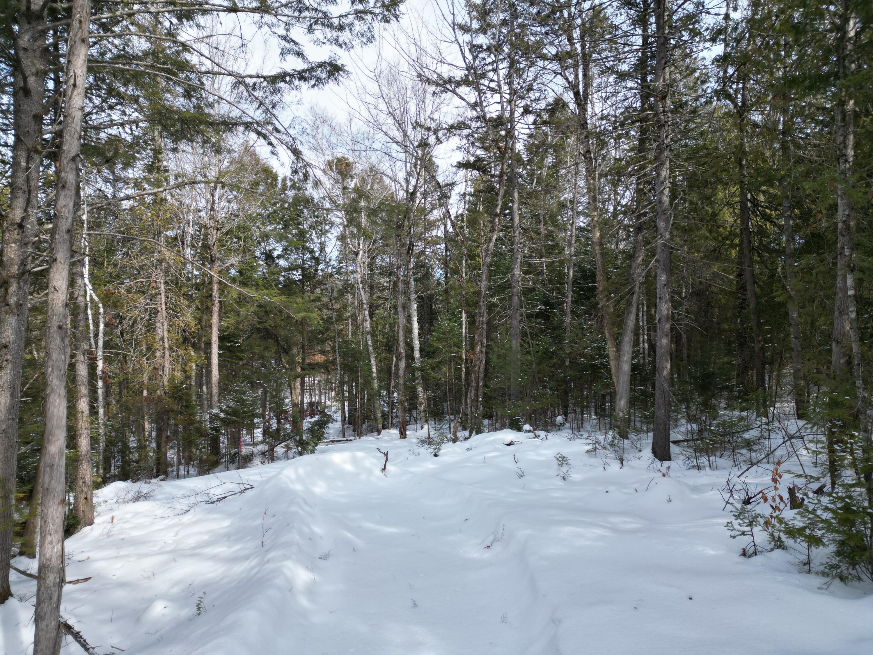 12 Falcon Ridge Lincoln, ME 04457 - Photo 2 of 10 DJI_0021