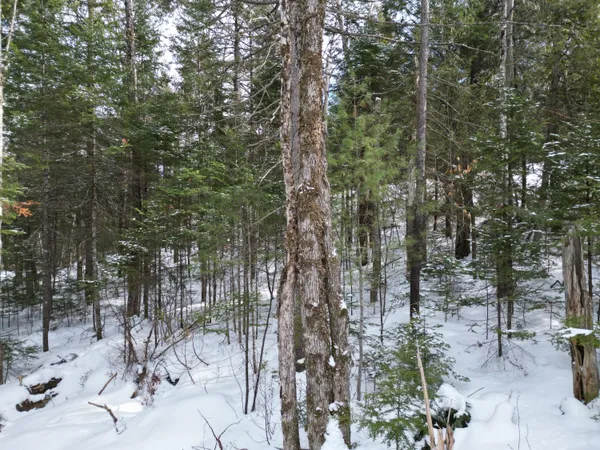 $29,000 | 12 Falcon Ridge, Lincoln, ME 04457