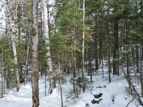 $29,000 | 12 Falcon Ridge, Lincoln, ME 04457