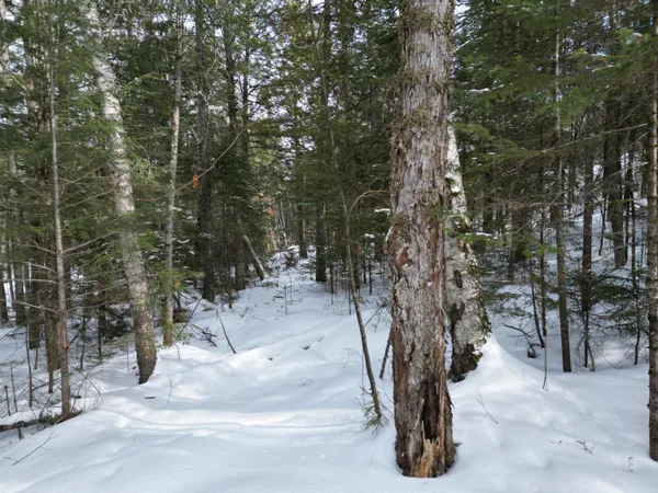 $29,000 | 12 Falcon Ridge, Lincoln, ME 04457