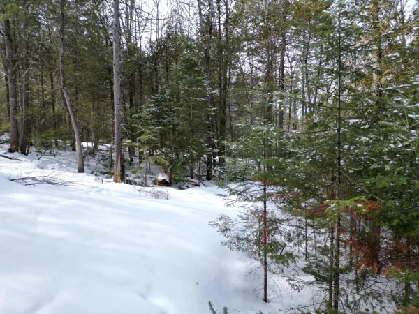 $29,000 | 12 Falcon Ridge, Lincoln, ME 04457