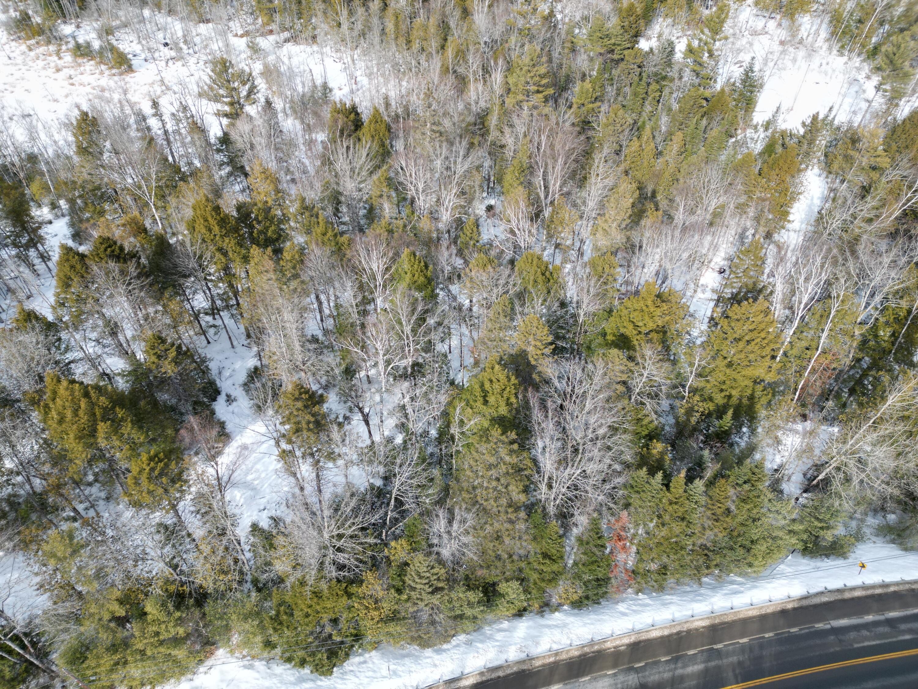 12 Falcon Ridge Lincoln, ME 04457 - Photo 10 of 10 DJI_0029