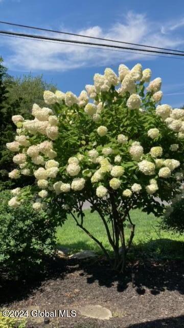 1 Sunset Drive Troy, NY 12182 - Photo 41 of 45 21BB1C71-3316-4992-AD69-C440D92CC289