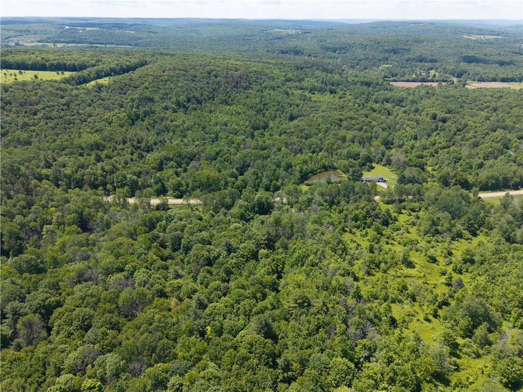 0 Schneider Road Fillmore, NY 14735 - Photo 49 of 50