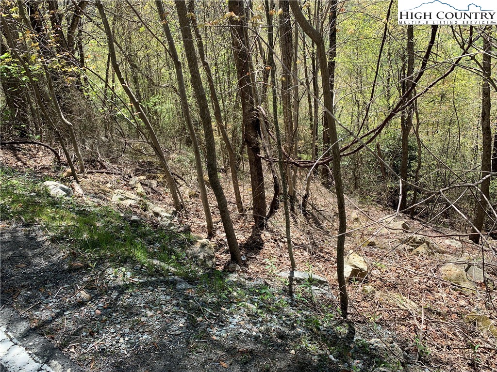 427-503 Pinnacle Ridge Road Beech Mountain, NC 28604 - Photo 1 of 4 a view of a yard