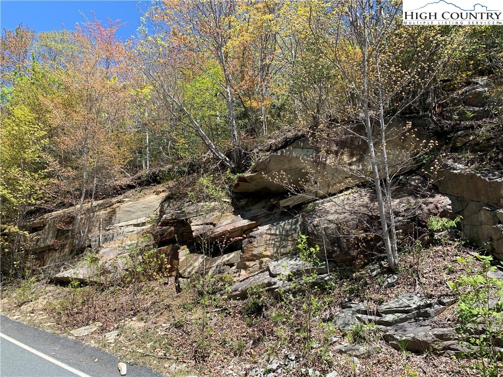 427-503 Pinnacle Ridge Road Beech Mountain, NC 28604 - Photo 2 of 4 a view of a forest with trees