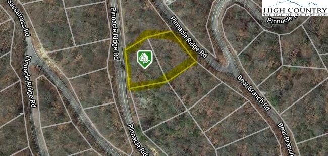 427-503 Pinnacle Ridge Road Beech Mountain, NC 28604 - Photo 4 of 4