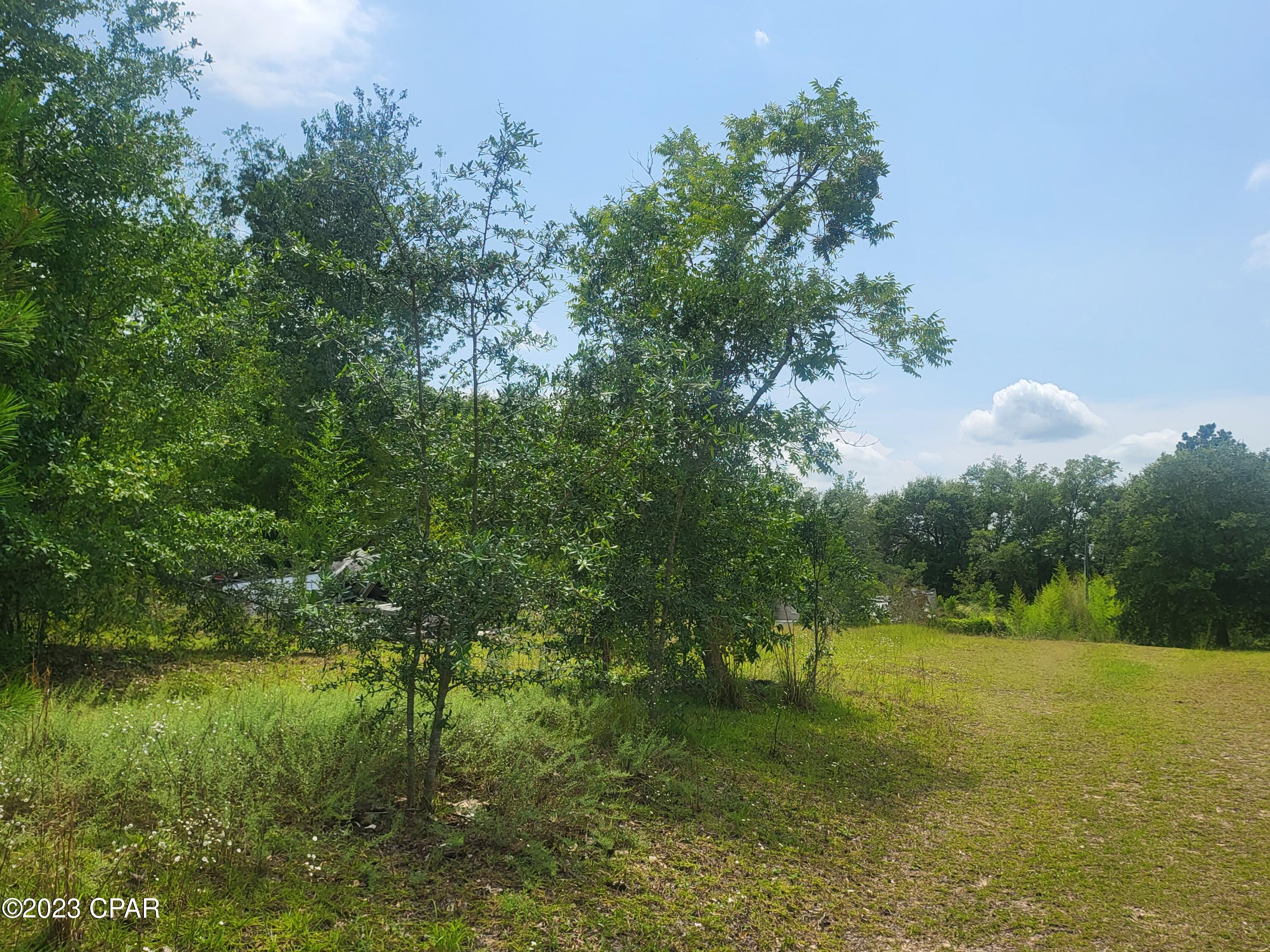 2789 Salem Church Road Sneads, FL 32460 - Photo 1 of 7 Gallery Image 1