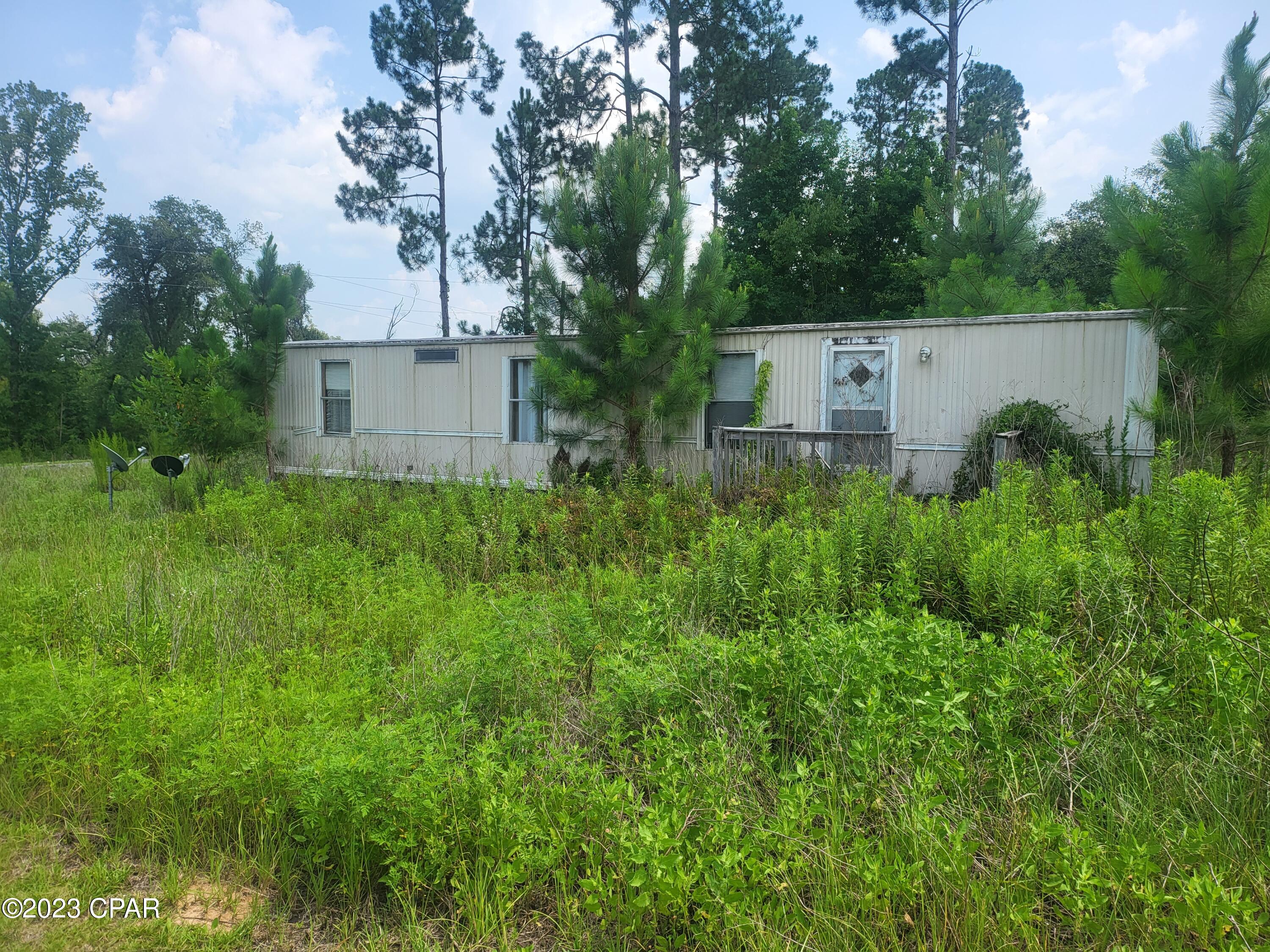 2789 Salem Church Road Sneads, FL 32460 - Photo 2 of 7 Gallery Image 2