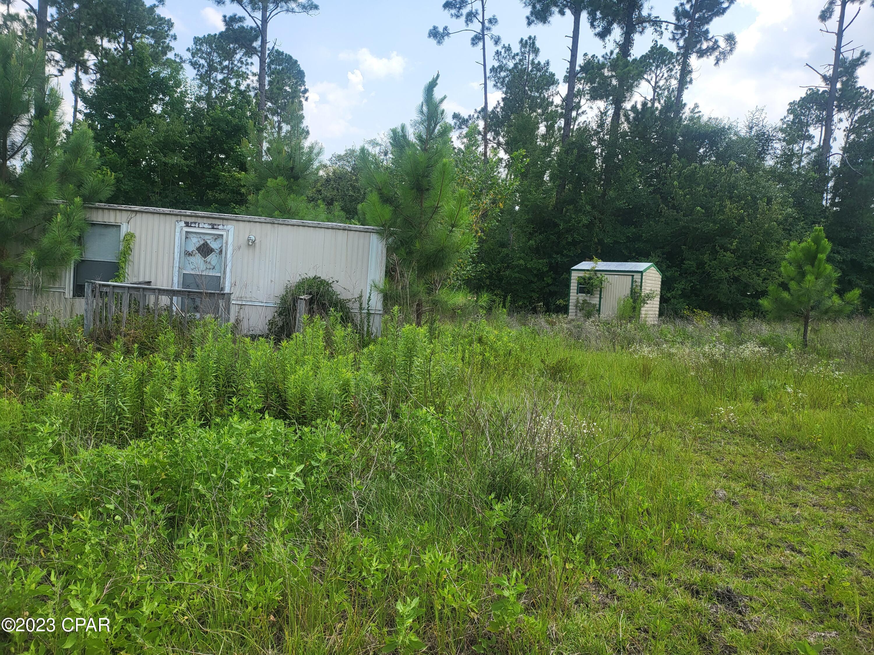 2789 Salem Church Road Sneads, FL 32460 - Photo 3 of 7 Gallery Image 3