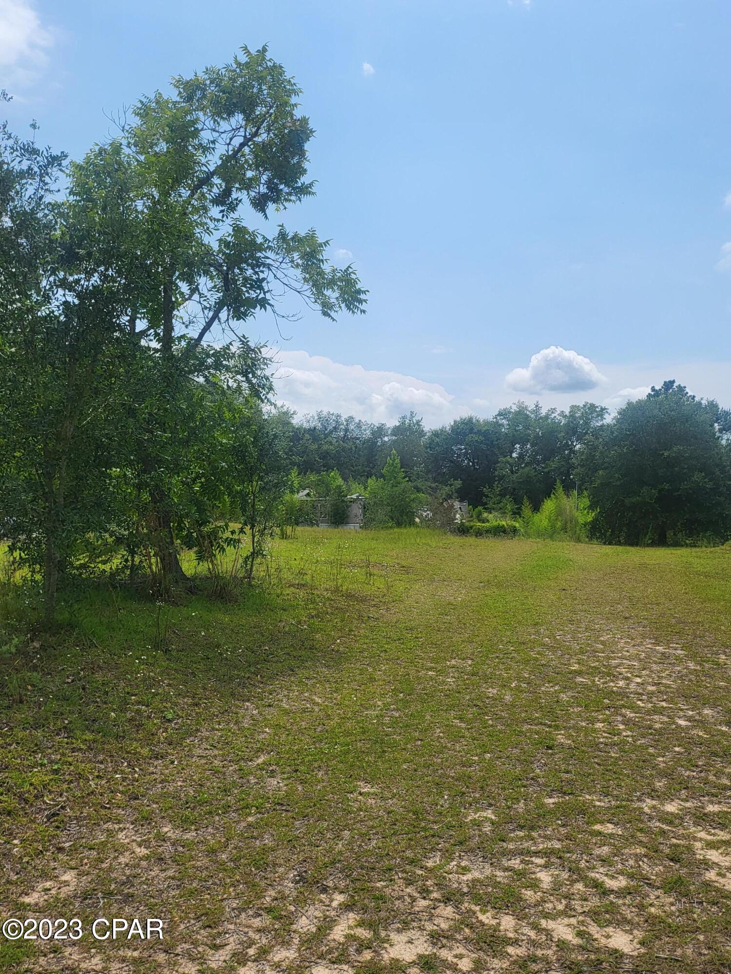 2789 Salem Church Road Sneads, FL 32460 - Photo 6 of 7 Gallery Image 6