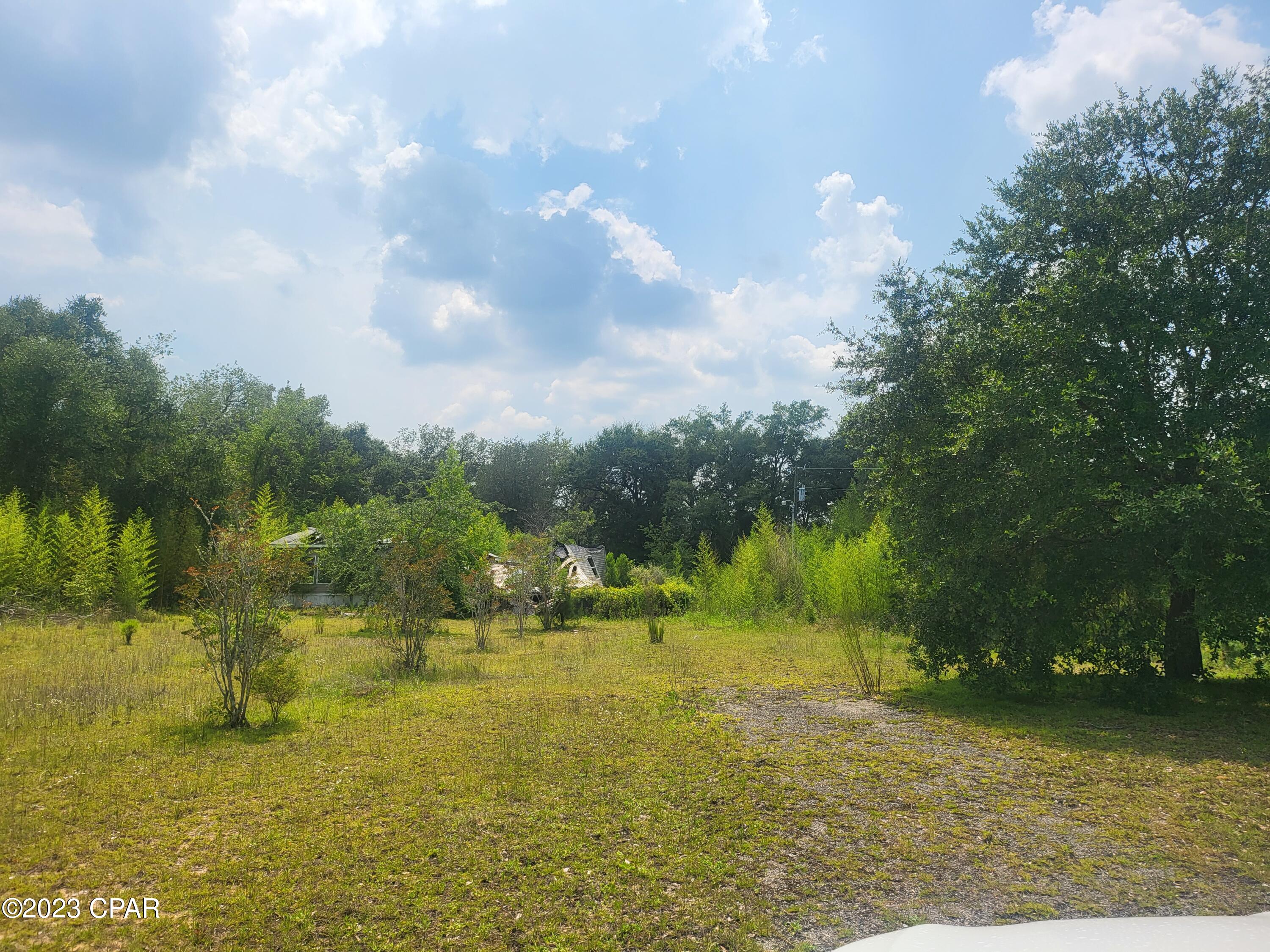 2789 Salem Church Road Sneads, FL 32460 - Photo 7 of 7 Gallery Image 7