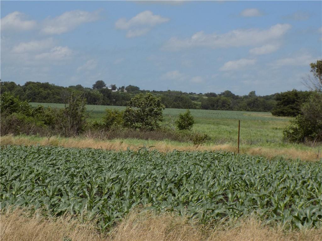 300 Road & Oregon Road Kincaid, KS 66039 - Photo 7 of 13