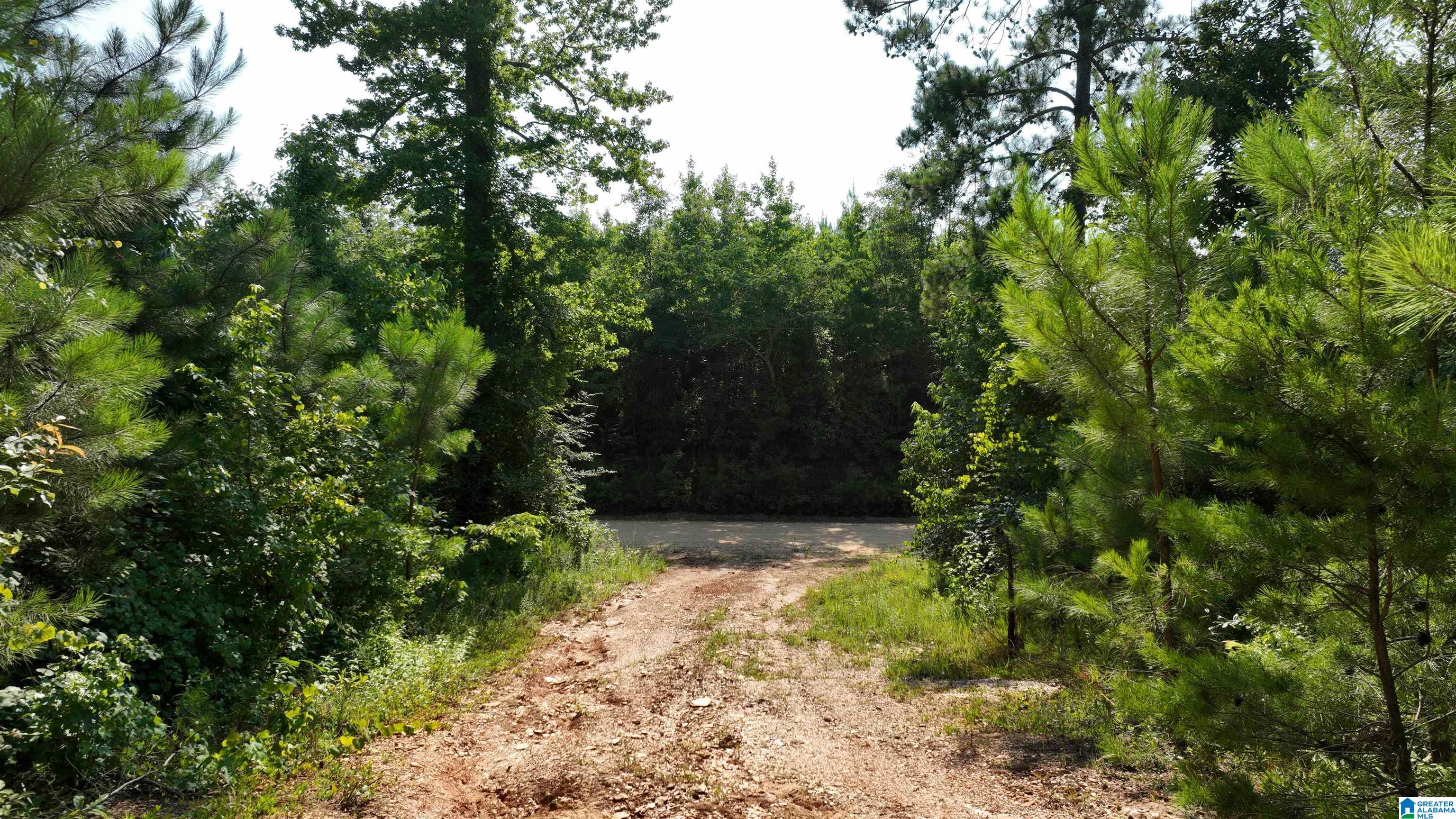 2 County Road 253, Unit 2 Clanton, AL 35046 - Photo 5 of 40