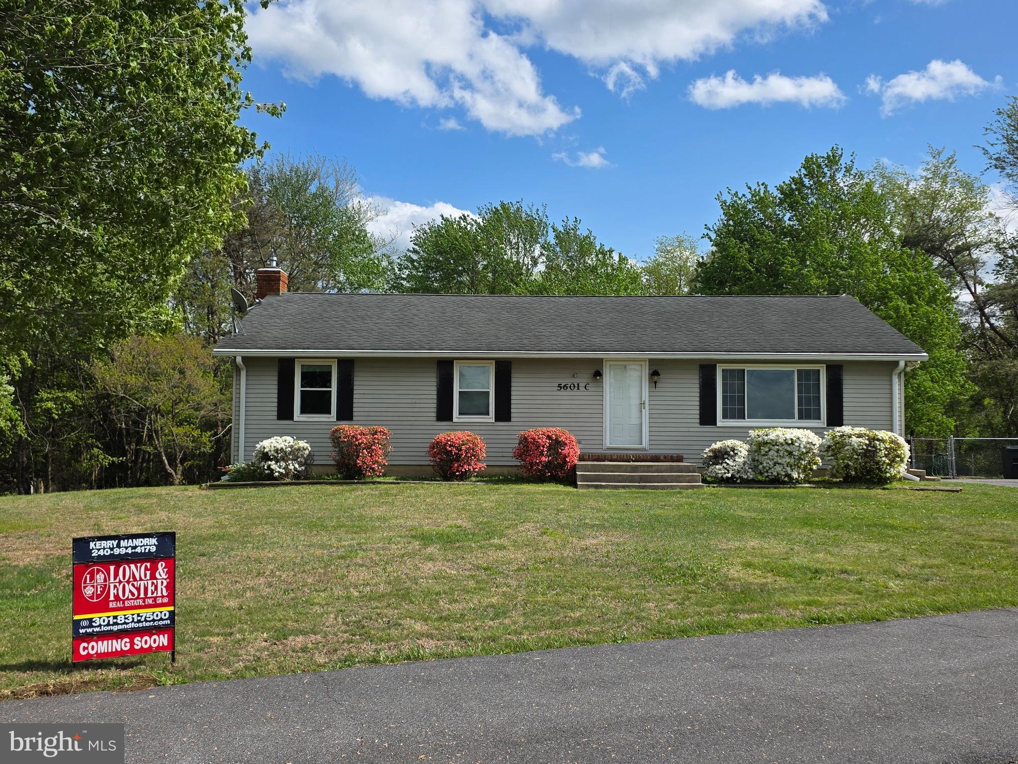 Professional Photos Coming Soon