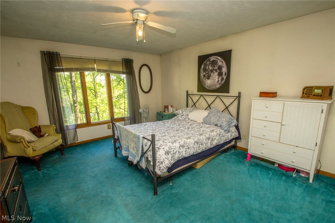 9260 Jamison Road Lodi, OH 44254 - Photo 17 of 34 Spacious master bedroom