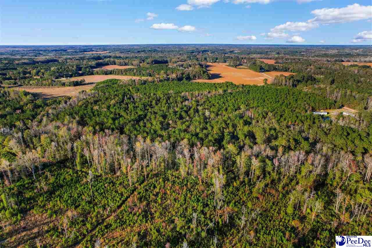 Tbd Tbd Oneal Road Loris, SC 29569 - Photo 10 of 12 Gallery Image 10