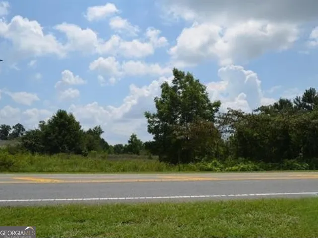 a view of a bunch of trees and bushes